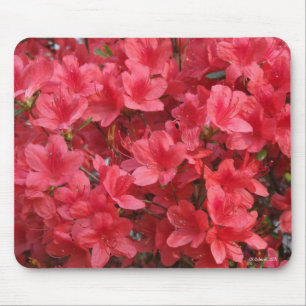 Alfombrilla De Ratón ¡Guau!