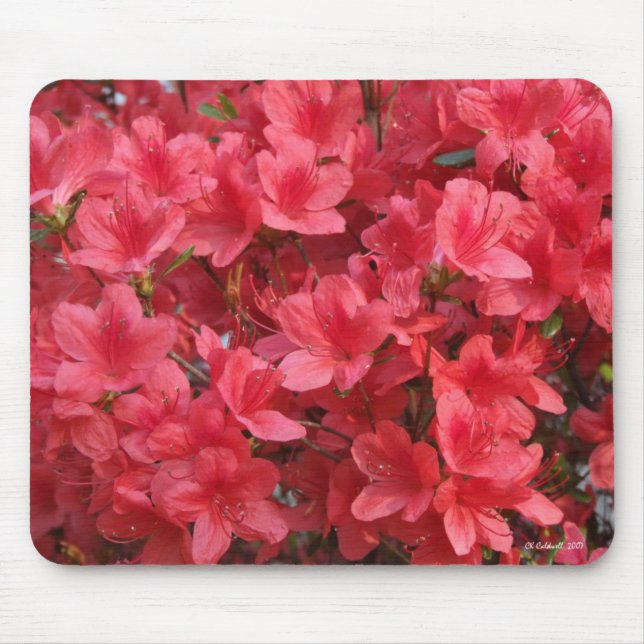 Alfombrilla De Ratón ¡Guau! (Frente)