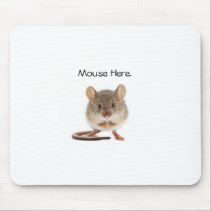 Alfombrilla De Ratón Guay Mouse Pad