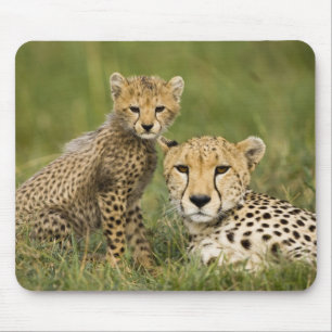 Alfombrilla De Ratón Guepardo, Acinonyx jubatus, con cachorro