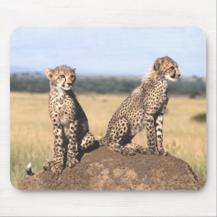 Alfombrilla De Ratón Guepardo Cubs Mousepad