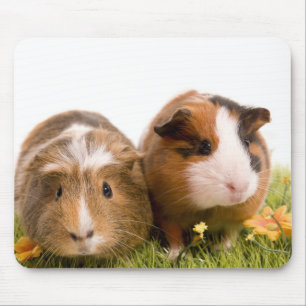 Alfombrilla De Ratón Guinea pigs se tiene lawn