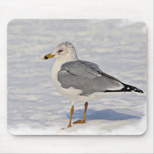 Alfombrilla De Ratón Gull en la nieve