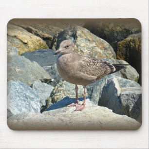 Alfombrilla De Ratón Gull Juvenil Grande Con El Fondo Negro