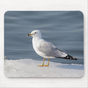 Alfombrilla De Ratón Gull on ice