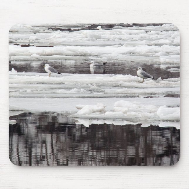 Alfombrilla De Ratón Gulls En El Hielo (Frente)