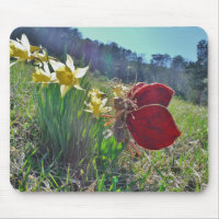 hada de ala roja y daffodis