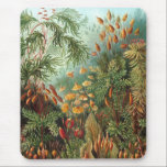 Alfombrilla De Ratón Haeckel<br><div class="desc">Haeckel mousepad.</div>