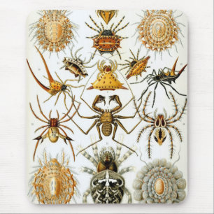 Alfombrilla De Ratón Haeckel