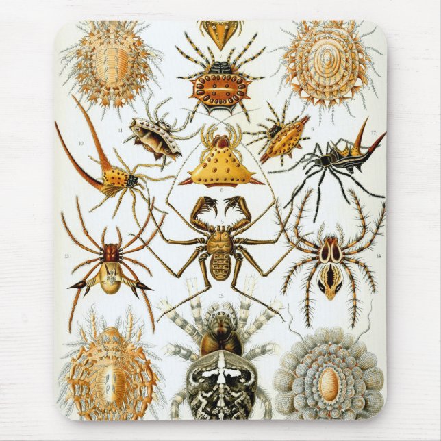 Alfombrilla De Ratón Haeckel (Frente)