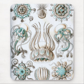 Alfombrilla De Ratón Haeckel