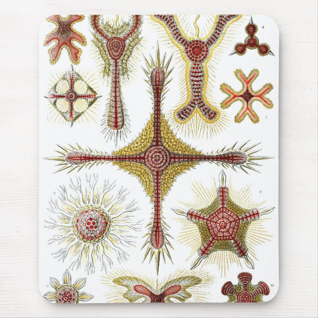 Alfombrilla De Ratón Haeckel (Frente)