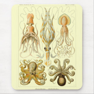 Alfombrilla De Ratón Haeckel