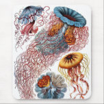 Alfombrilla De Ratón Haeckel<br><div class="desc">Haeckel mousepad.</div>