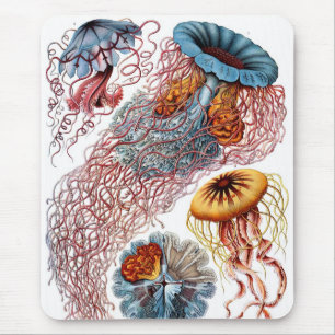 Alfombrilla De Ratón Haeckel
