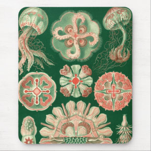 Alfombrilla De Ratón Haeckel