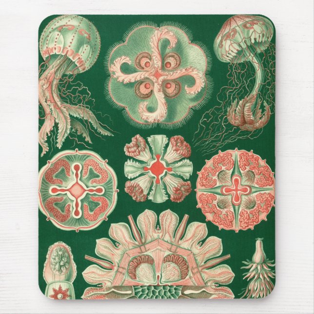 Alfombrilla De Ratón Haeckel (Frente)
