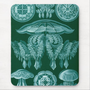 Alfombrilla De Ratón Haeckel