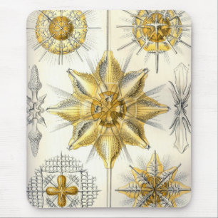 Alfombrilla De Ratón Haeckel