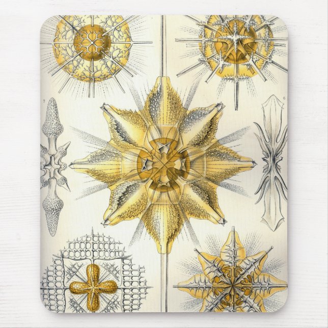 Alfombrilla De Ratón Haeckel (Frente)