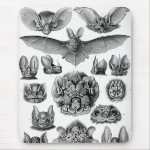 Alfombrilla De Ratón Haeckel Bats