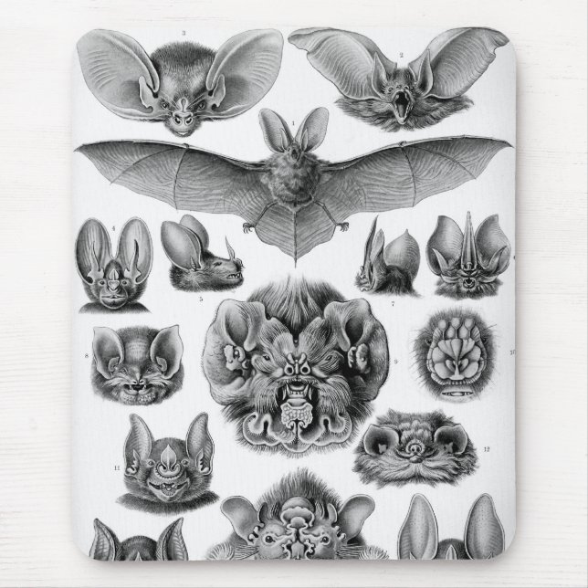 Alfombrilla De Ratón Haeckel Bats (Frente)