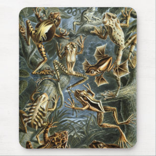 Alfombrilla De Ratón Haeckel Frogs