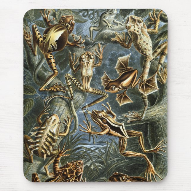 Alfombrilla De Ratón Haeckel Frogs (Frente)