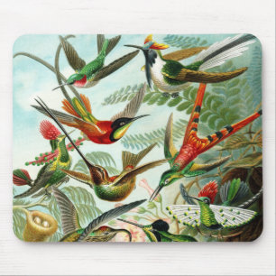 Alfombrilla De Ratón Haeckel Hummingbirds
