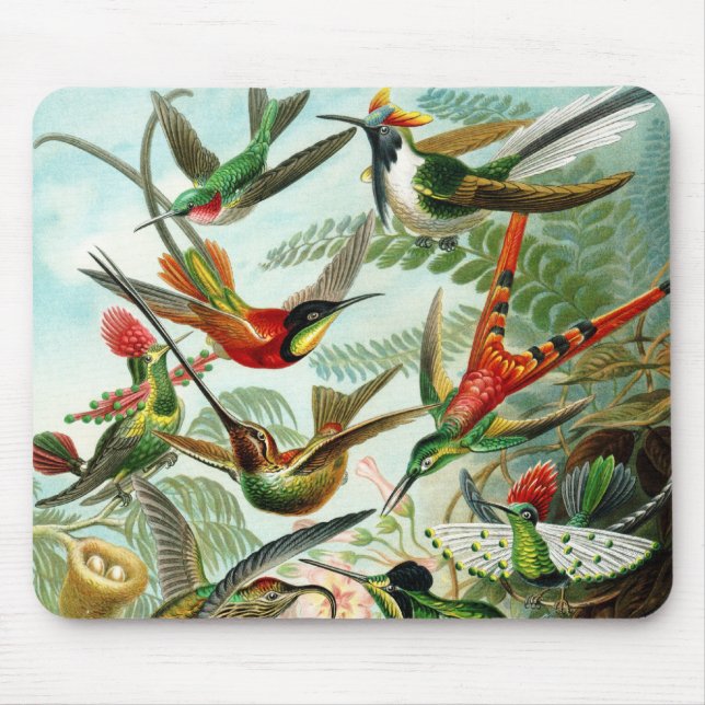 Alfombrilla De Ratón Haeckel Hummingbirds (Frente)