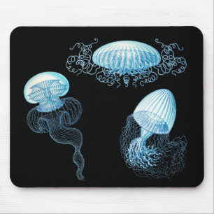 Alfombrilla De Ratón Haeckel Jellyfish