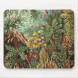 Alfombrilla De Ratón Haeckel Moss, Grass y Fungus Mushroom Painting