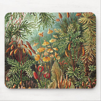 Alfombrilla De Ratón Haeckel Moss, Grass y Fungus Mushroom Painting