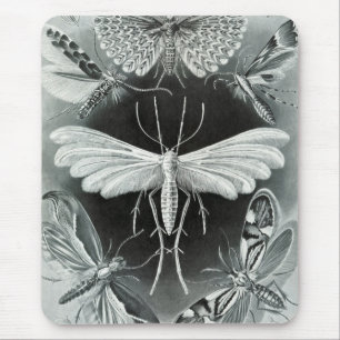 Alfombrilla De Ratón Haeckel Moths