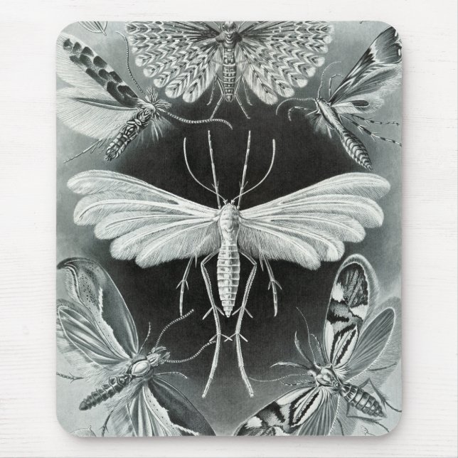 Alfombrilla De Ratón Haeckel Moths (Frente)