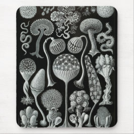 Alfombrilla De Ratón Haeckel Negativo