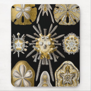 Alfombrilla De Ratón Haeckel Sealife