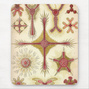 Alfombrilla De Ratón Haeckel Vintage