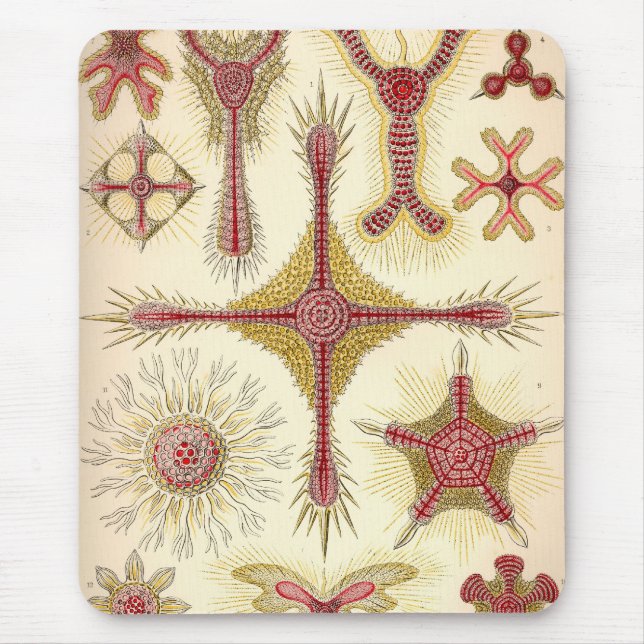 Alfombrilla De Ratón Haeckel Vintage (Frente)