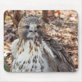 Alfombrilla De Ratón Halcón atado rojo