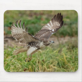 Alfombrilla De Ratón Halcón atado rojo no maduro