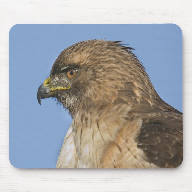 Alfombrilla De Ratón halcón Rojo-atado (Frente)