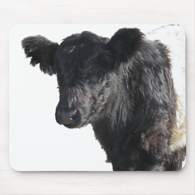 Alfombrilla De Ratón Handsome Beled Galloway Steer (Frente)