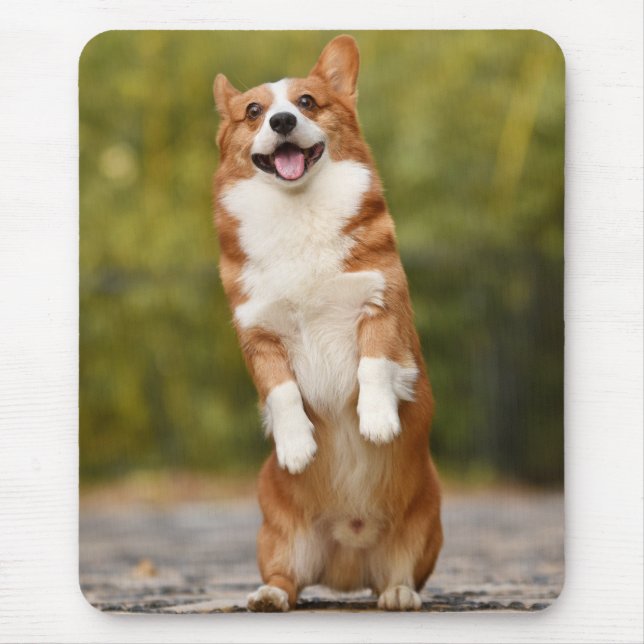 Alfombrilla De Ratón Happy Corgi Puppy Standing Photo (Frente)