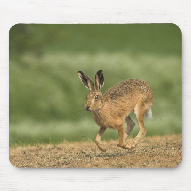 Alfombrilla De Ratón Hare Mousepad (Frente)