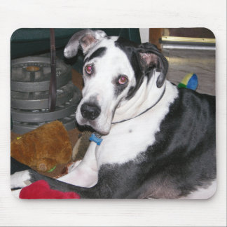 Alfombrilla De Ratón Harlequin great dane