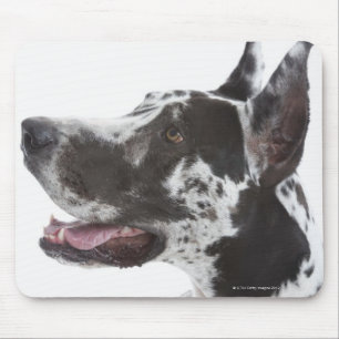Alfombrilla De Ratón Harlequin Great Dane