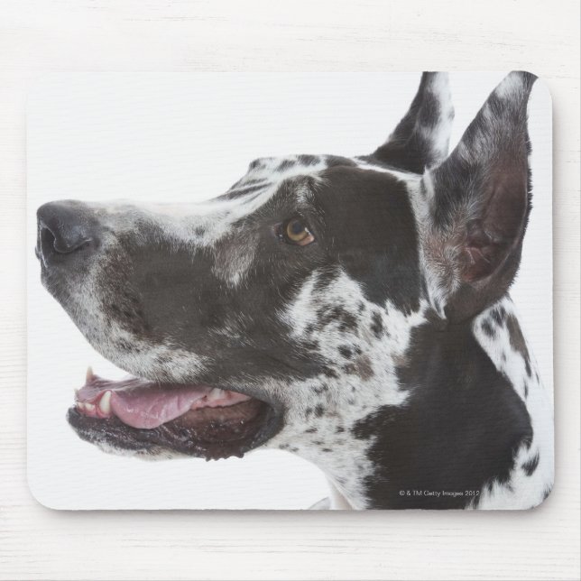 Alfombrilla De Ratón Harlequin Great Dane (Frente)