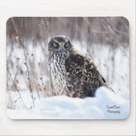 Alfombrilla De Ratón Harrier septentrional
