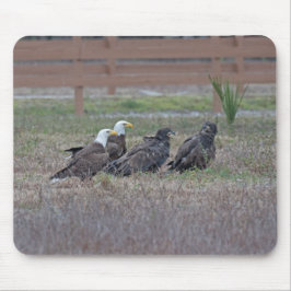 Alfombrilla De Ratón Harriet M15 E10 y E11